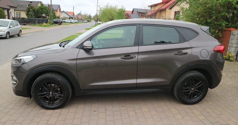 Hyundai Tucson cena 66900 przebieg: 96000, rok produkcji 2017 z Oleśnica małe 92